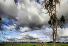 周六013意甲卡利亚里vs亚特兰大-九游网页版