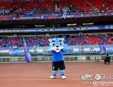 社区盾杯直播2024 社区盾杯直播2024